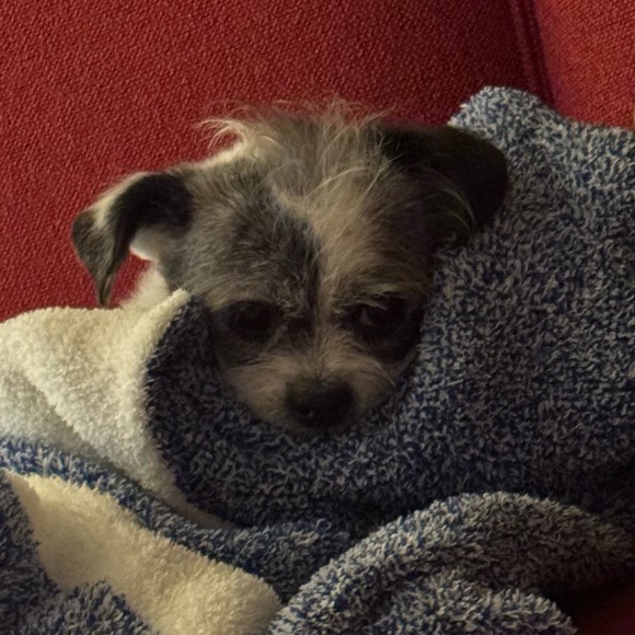 judypie123